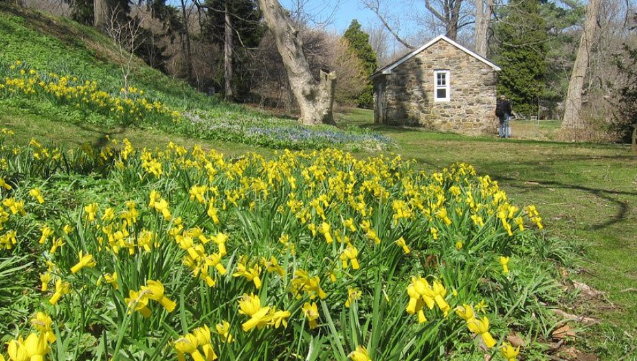John J. Tyler Arboretum
